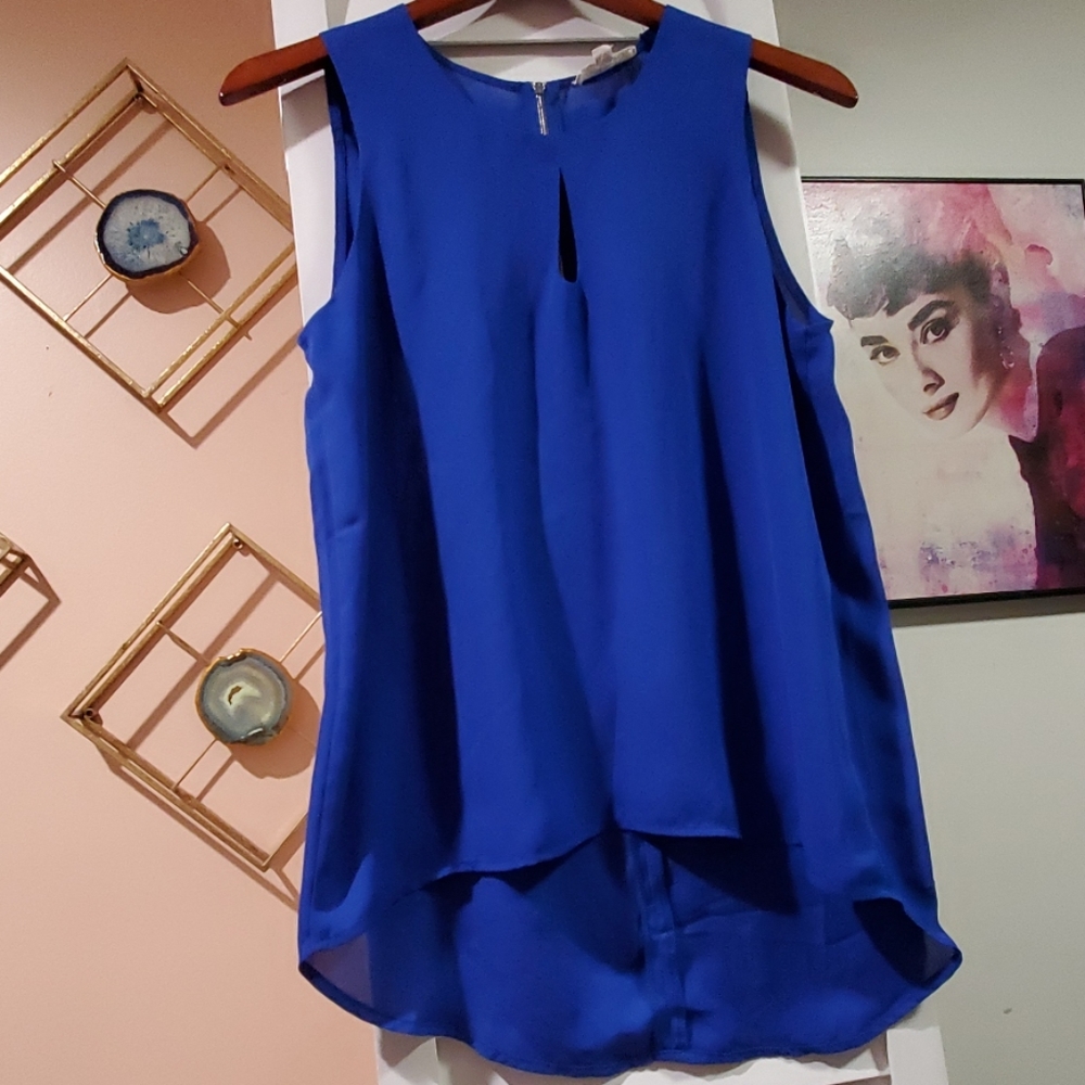 Sheer Blue Blouse